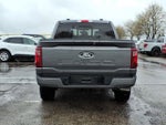 2024 F-150 Thumbnail 4