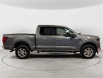 2024 F-150 Thumbnail 6