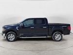 2024 F-150 Thumbnail 2