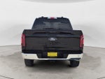 2024 F-150 Thumbnail 4
