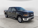2024 F-150 Thumbnail 7