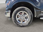 2024 F-150 Thumbnail 14
