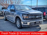 2024 F-150 Thumbnail 4