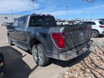 2024 F-150 Thumbnail 5