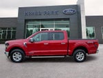 2024 F-150 Thumbnail 4