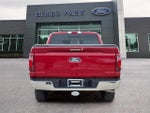 2024 F-150 Thumbnail 6