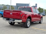 2024 F-150 Thumbnail 7