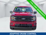 2024 F-150 Thumbnail 8