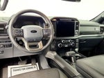 2024 F-150 Thumbnail 12