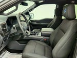 2024 F-150 Thumbnail 19