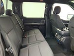 2024 F-150 Thumbnail 25
