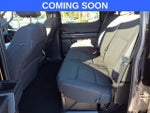 2024 F-150 Thumbnail 12