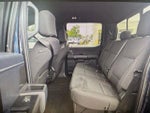2024 F-150 Thumbnail 8