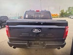 2024 F-150 Thumbnail 13