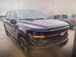 2024 F-150 Thumbnail 18