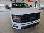 2024 F-150 Thumbnail 4
