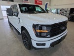 2024 F-150 Thumbnail 5