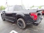 2025 F-150 Thumbnail 4