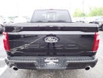 2025 F-150 Thumbnail 5