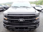2025 F-150 Thumbnail 12
