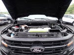 2025 F-150 Thumbnail 16