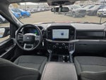 2025 F-150 Thumbnail 19