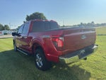 2025 F-150 Thumbnail 3