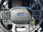 2025 F-150 Thumbnail 15
