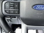 2025 F-150 Thumbnail 17