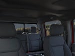 2025 F-150 Thumbnail 19