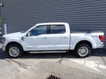 2025 F-150 Thumbnail 2