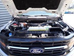 2025 F-150 Thumbnail 16