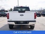 2025 F-150 Thumbnail 5