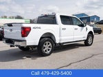 2025 F-150 Thumbnail 6