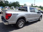2025 F-150 Thumbnail 8