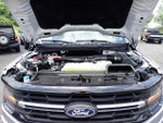 2025 F-150 Thumbnail 16
