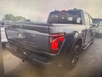 2025 F-150 Thumbnail 15