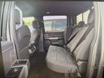 2025 F-150 Thumbnail 20