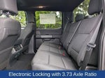 2026 F-150 Thumbnail 14