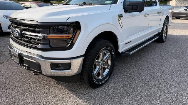 Preowned 2024 Ford F-150 XLT for Sale