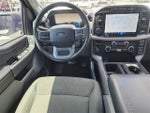 2024 F-150 Thumbnail 11