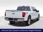 2024 F-150 Thumbnail 10