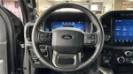 2024 F-150 Thumbnail 6