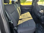 2024 F-150 Thumbnail 10