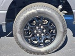 2024 F-150 Thumbnail 16