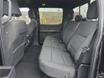 2024 F-150 Thumbnail 8