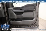 2024 F-150 Thumbnail 12
