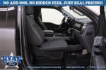 2024 F-150 Thumbnail 13