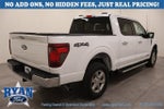 2024 F-150 Thumbnail 5