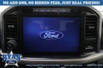 2024 F-150 Thumbnail 15